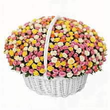 Премиум букет из: Розы в Курагино