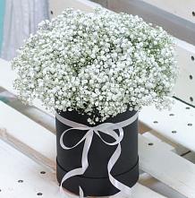 Цветочная композиция из Гипсофила в шляпной коробке в Курагино