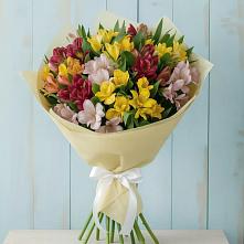 Букет цветов из:  Альстромерии #REPLACE_PRED# Курагино