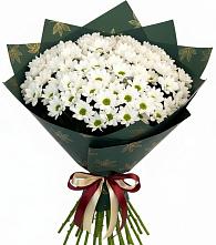 Букет цветов из:  Хризантемы #REPLACE_PRED# Курагино