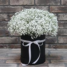 Цветочная композиция из Гипсофила в шляпной коробке в Курагино