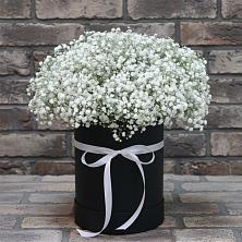 Цветочная композиция из Гипсофила в шляпной коробке в Курагино