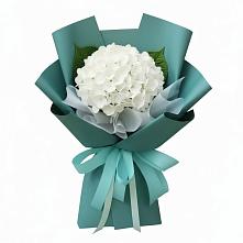 Букет цветов из:  Гортензия в Курагино